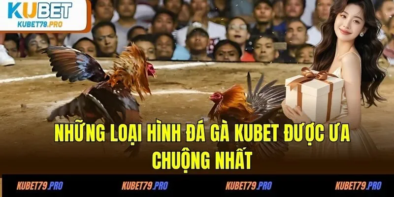 Đá Gà KUBET - Chơi Là Mê Cược Là Thắng Tại KUBET Uy Tín 3 Những loại hình đá gà KUBET được ưa chuộng nhất